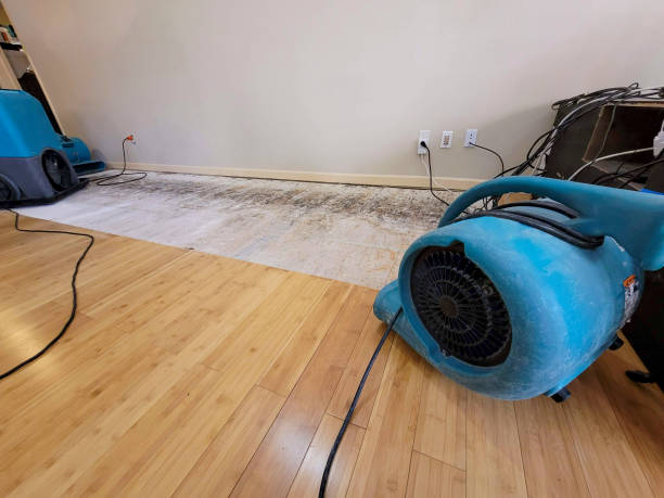 Professional Water Damage Repair technician working in Red Boiling Springs, TN